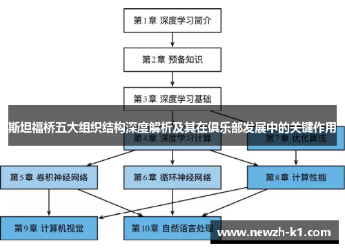 斯坦福桥五大组织结构深度解析及其在俱乐部发展中的关键作用