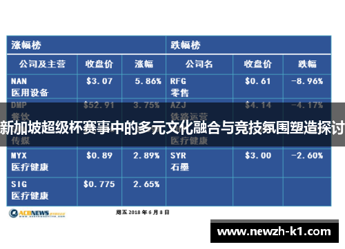 新加坡超级杯赛事中的多元文化融合与竞技氛围塑造探讨