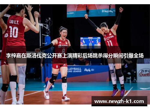 李梓嘉在斯洛伐克公开赛上演精彩后场跳杀得分瞬间引爆全场