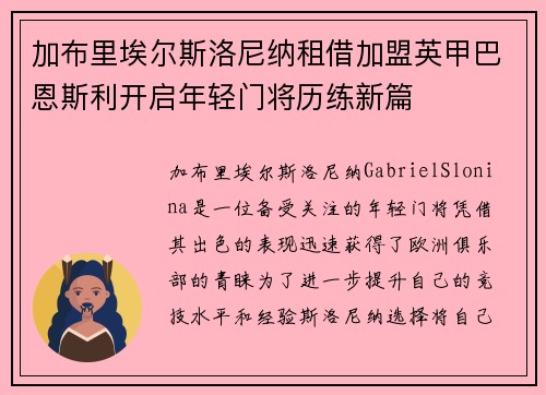 加布里埃尔斯洛尼纳租借加盟英甲巴恩斯利开启年轻门将历练新篇